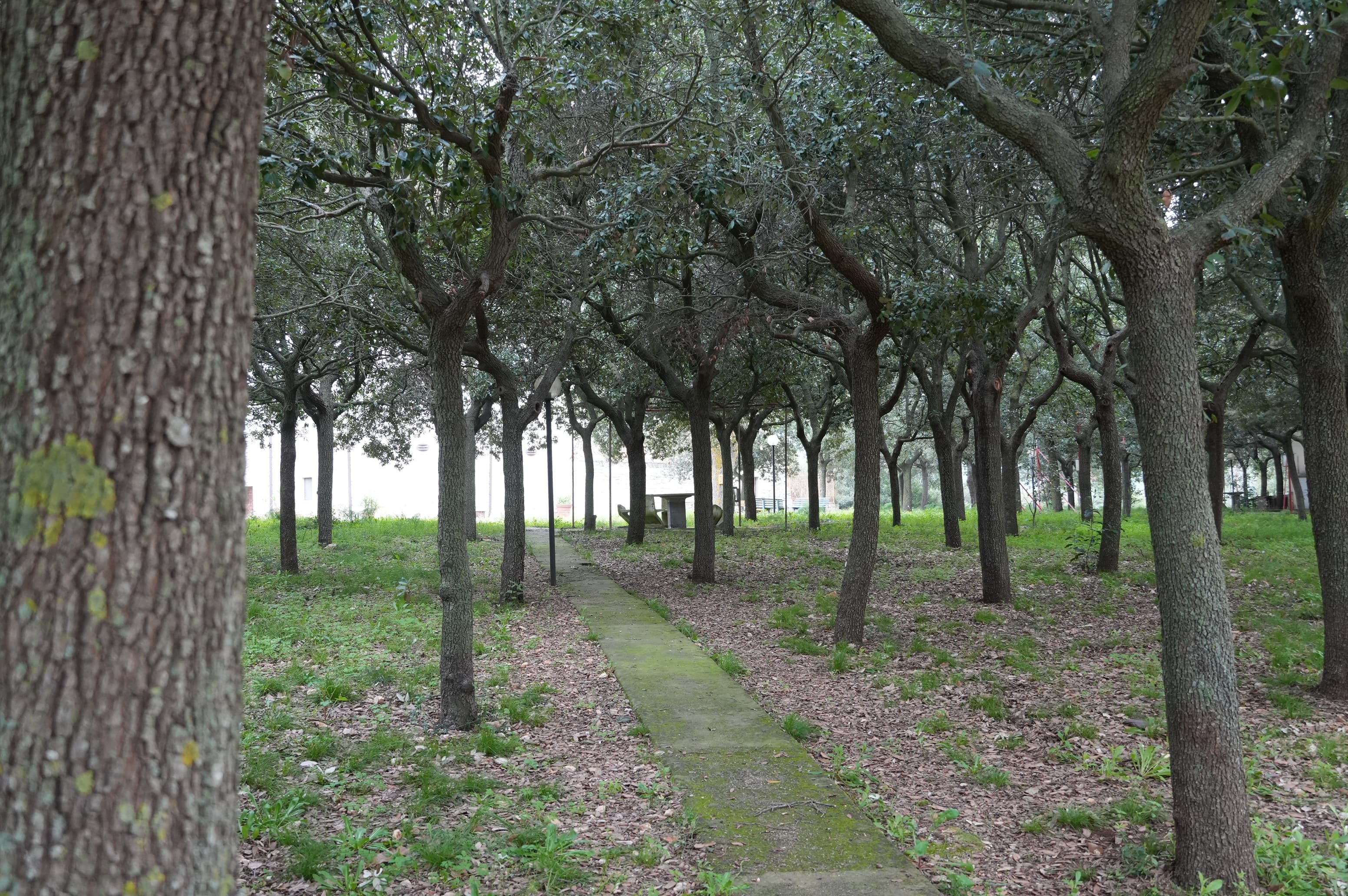 Oasi Santa Maria - Vista 4