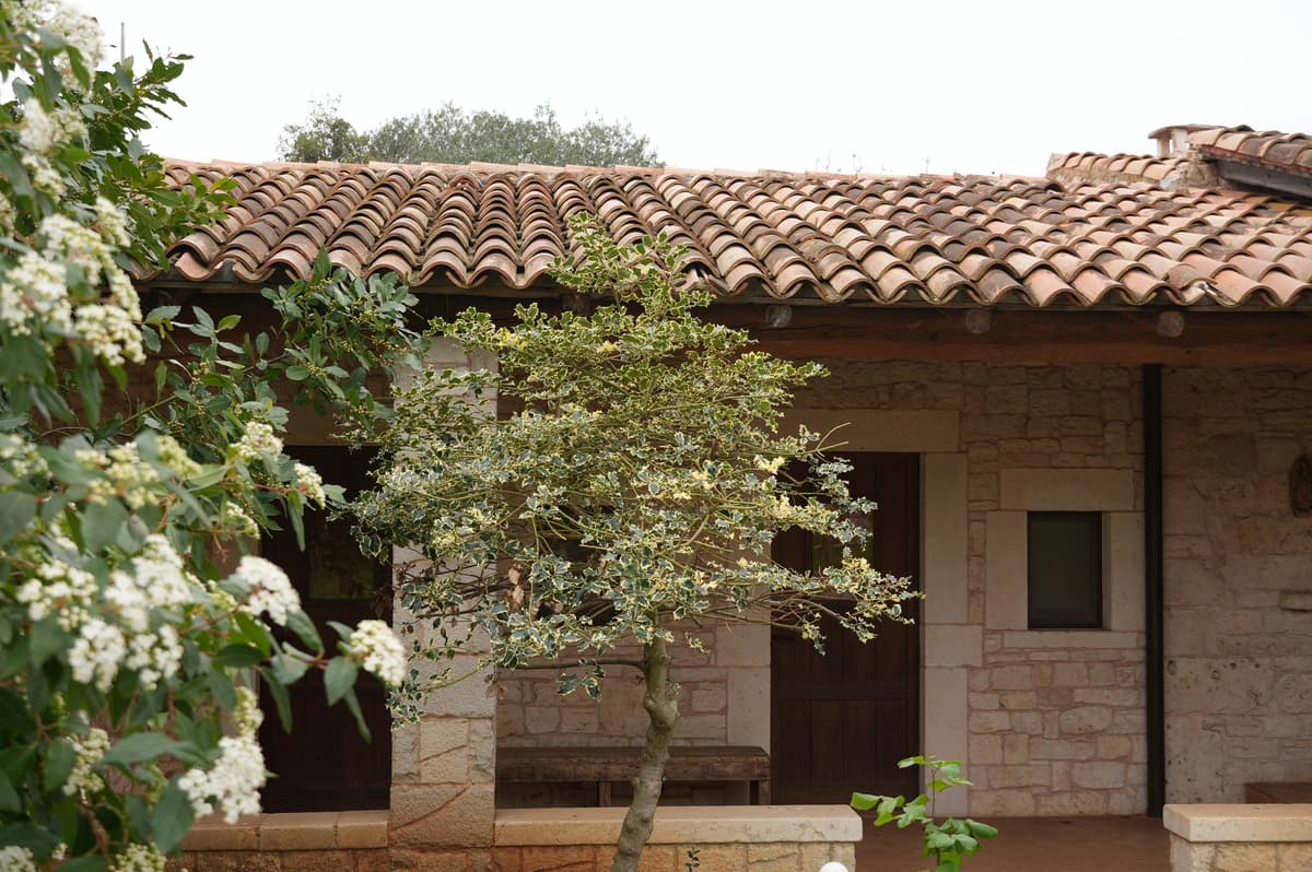 Oasi Santa Maria - Foto 11